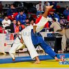 CESUB21 2015 00103